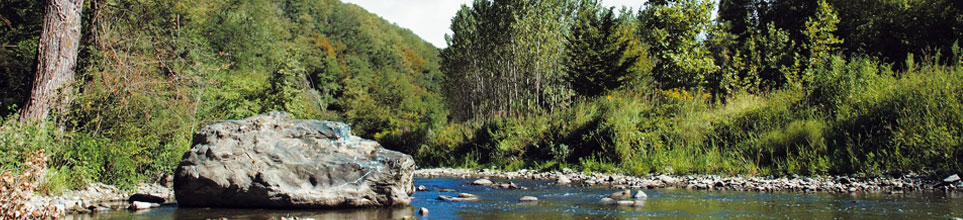 parco valle lambro