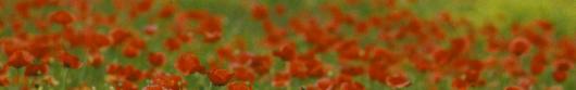 Colorato Colorato