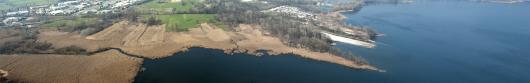 Lago di Pusiano, area umida posta tra l'emissario e il torrente Lambrone